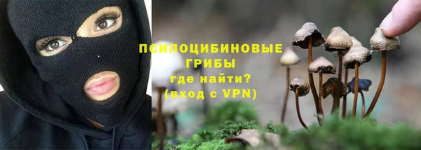 СК Нефтекумск