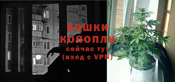 винт Новозыбков