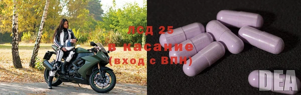 ГАЛЛЮЦИНОГЕННЫЕ ГРИБЫ Новодвинск