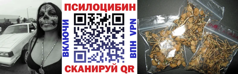 Галлюциногенные грибы Psilocybine cubensis  купить   Алушта 