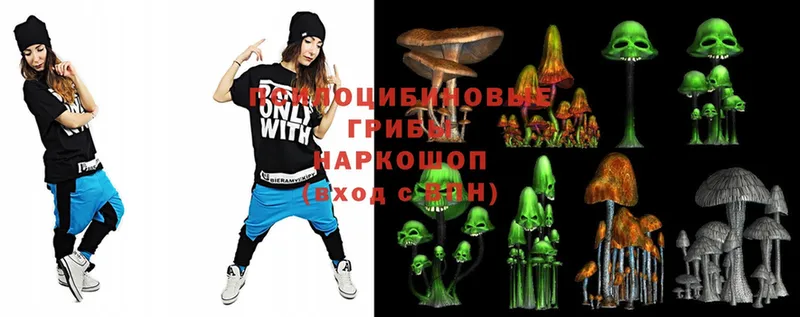 KRAKEN ССЫЛКА  Алушта  Галлюциногенные грибы Magic Shrooms 