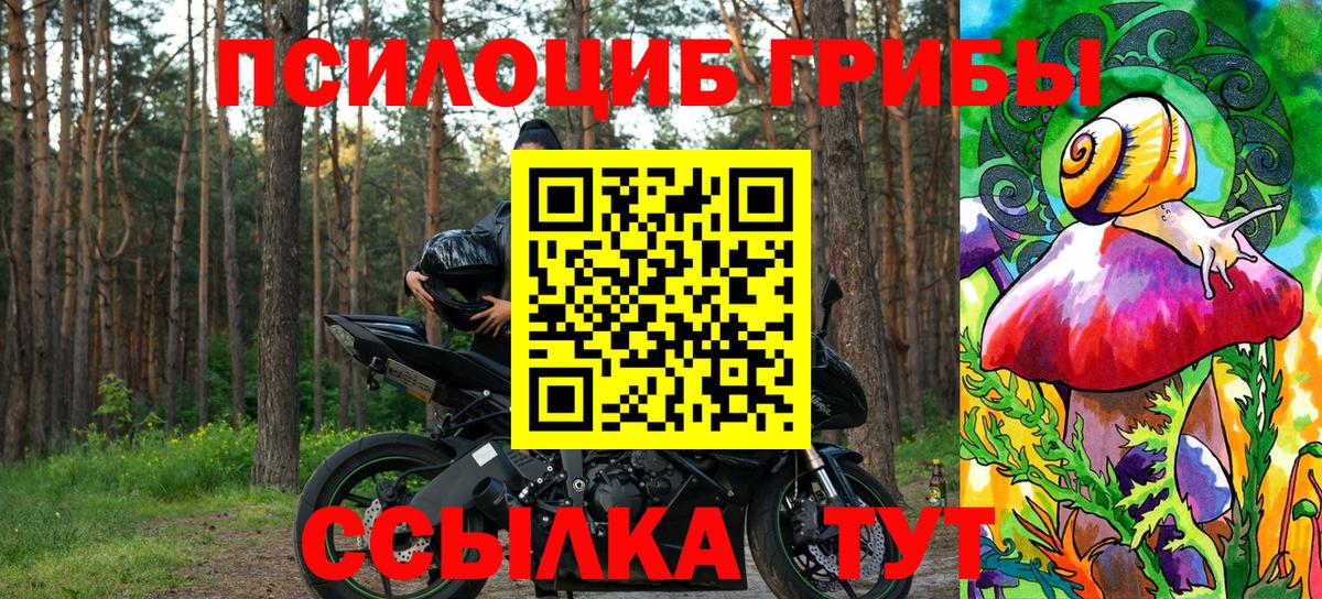 магазин продажи   Галлюциногенные грибы мухоморы  Алушта  Галлюциногенные грибы GOLDEN TEACHER 