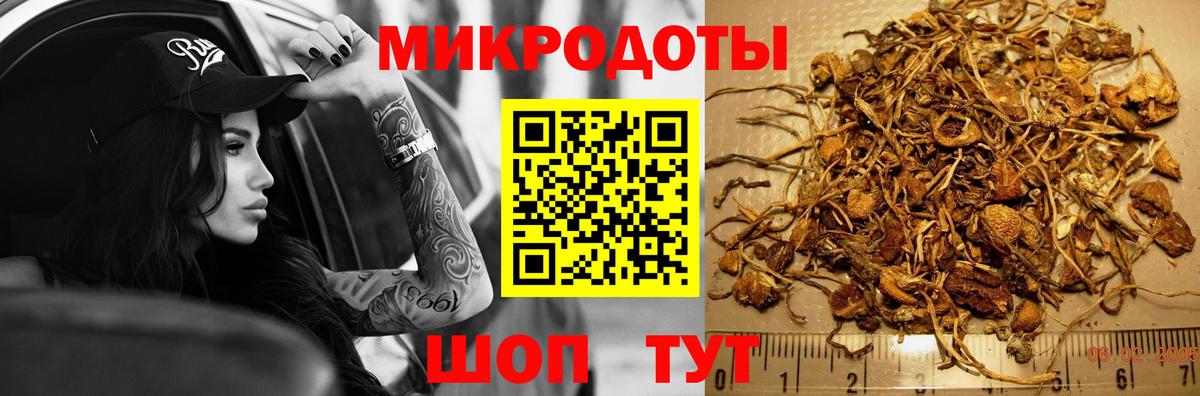 купить наркоту  Вход с VPN  Алушта  Псилоцибиновые грибы MAGIC MUSHROOMS 